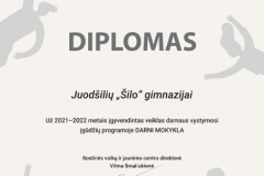 Darni_mokykla_DIPLOMAI_SIDABRINIS_2022_A4-18-453x640