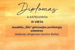 Cempionato-diplomas-453x640